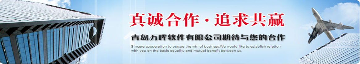 山东软件